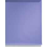 #29 Thistle Seamless Paper