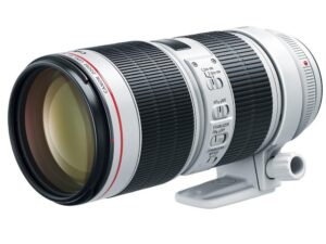 Canon EF 70-200mm f:2.8L IS III USM Lens