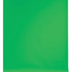 #54 Stinger Green Screen