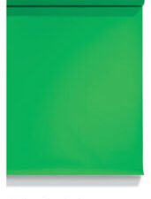#54 Stinger Green Screen