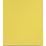#78 Sunshine Seamless Paper