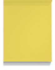 #78 Sunshine Seamless Paper